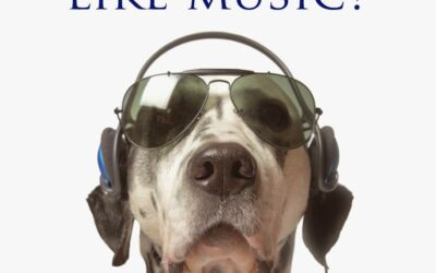 Do Dogs Like Music?