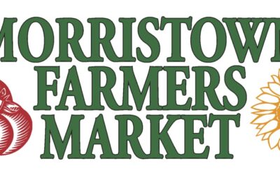 Healthy Hound – Summer Tips and Trips for a Healthy Pet