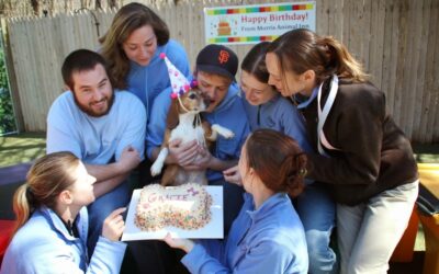 May 14th is a Birthday-Themed Dog Daycare Party for a Worthy Cause!