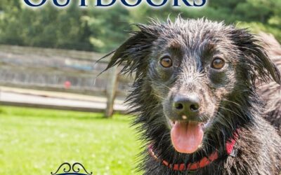 Spring Pet Safety Outdoors
