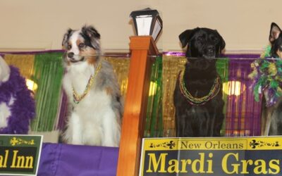 Mardi-Paws Party at Morris Animal Inn