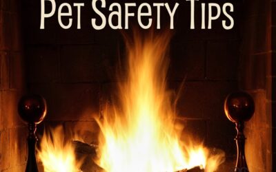 Pet Safety Around the Fireplace