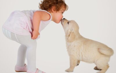 Introducing Pets to a Newborn