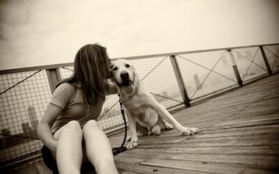 Do Dogs Understand Smiles?