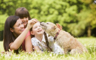 Back to School Tips For Your Pets