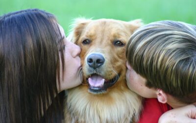 Are You Giving Your Dog the Right Kind of Affection?