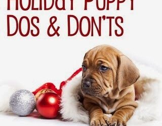 Holiday Puppy Dos and Don’ts