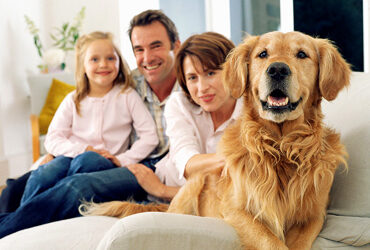 Can your dog recognize you in photographs?