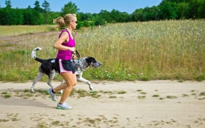 Working out with your dog