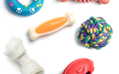 Which Toys Do You Let Your Dog Play With?