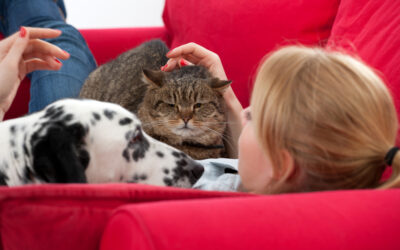 Adoption: “Change a Pet’s Life” Day – January 24