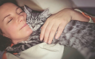 My Cat Likes to Sleep on Me… Why?