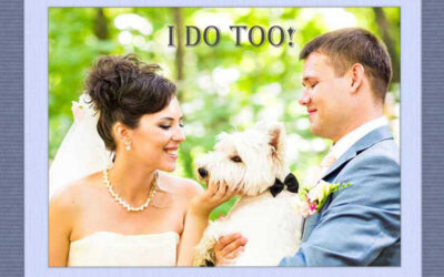 Keep your dog & cat safe during your wedding