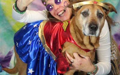 Got a Halloween Costume for Your Dog?