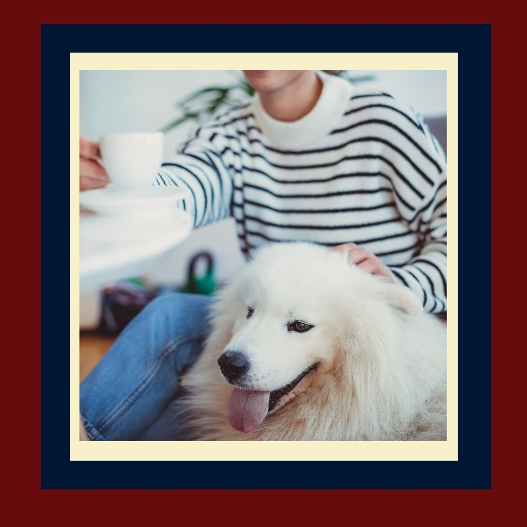 Dog friendly coffee shop