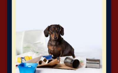 One Person’s Trash is Another Dog’s Treasure