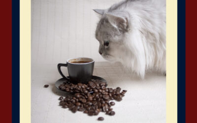 Cat Coffee Shops to visit in New Jersey
