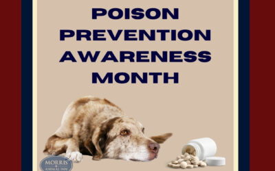 Poison Prevention Awareness Month