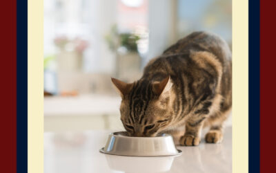 Cats & People Food Go Together?