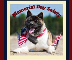 Memorial Day Celebrations