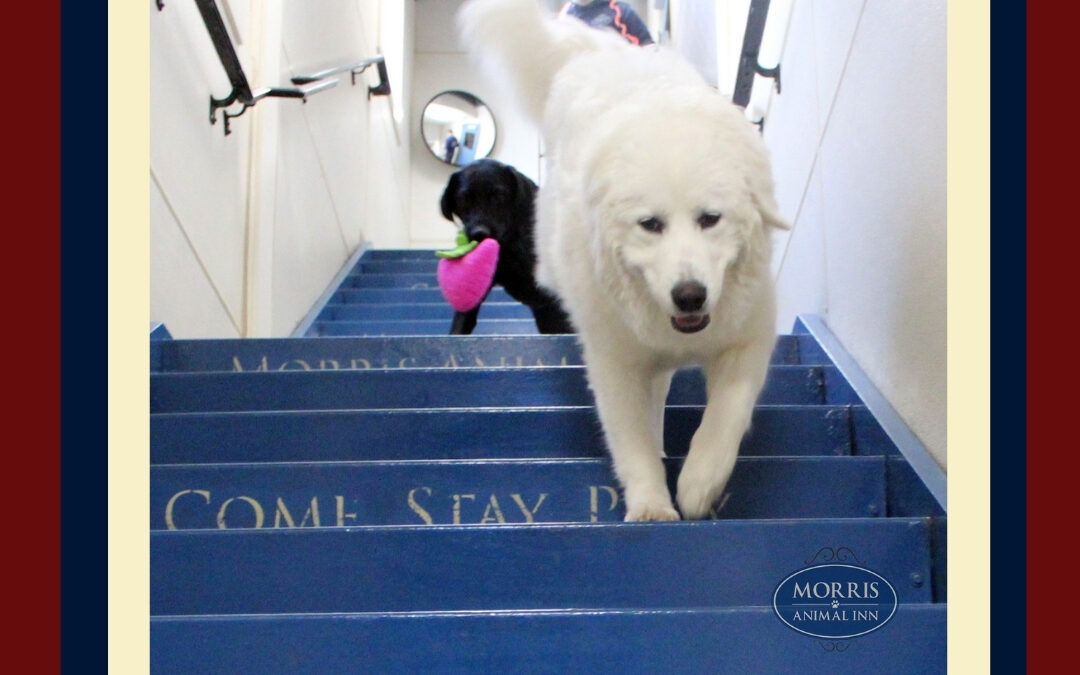 Let’s Get Physical!