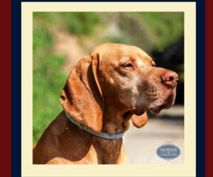 Tick Prevention