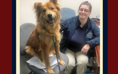 National Bring Your Dog to Work Day