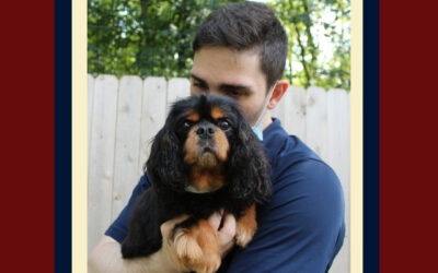 We are here for your dogs and cats