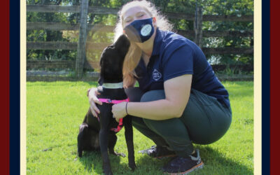 What Does It Mean When Your Dog Licks You?
