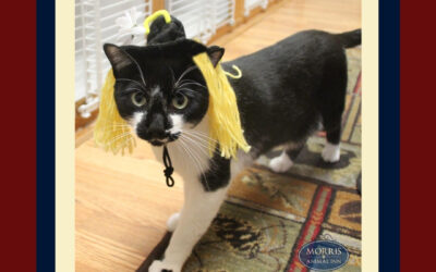 Witches & Cats…and Famous at That!