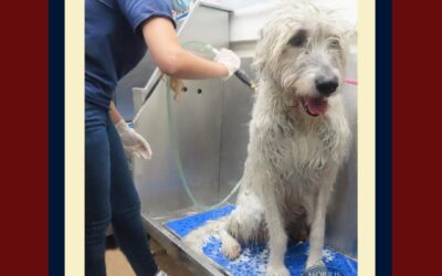 It’s Bath time!