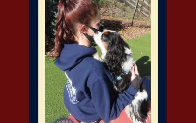 Does My Dog Really Love Me?