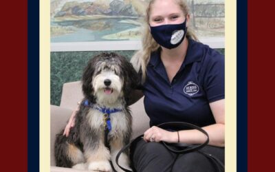 Dog-Friendly Places – Date Night With Your Dog