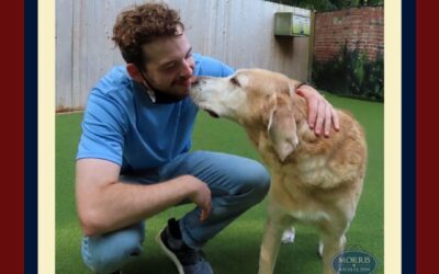 Talking To Your Pet
