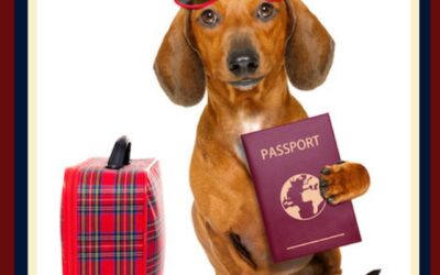 The best days to plan your holiday travel