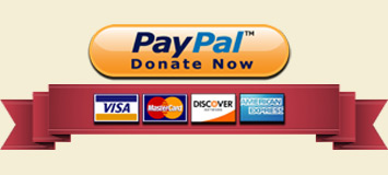 donate-now