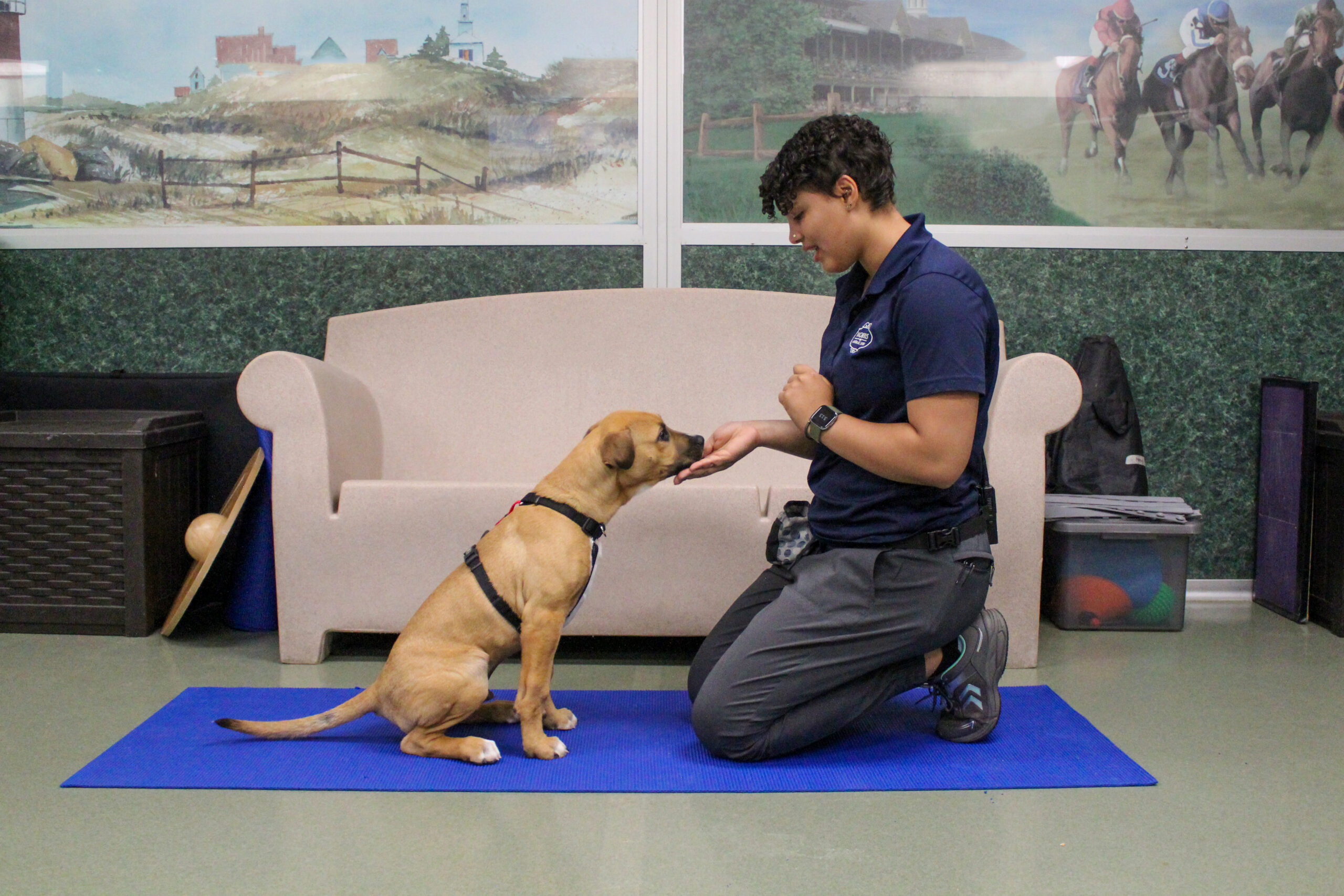 Puppy in training class for Puppy Training