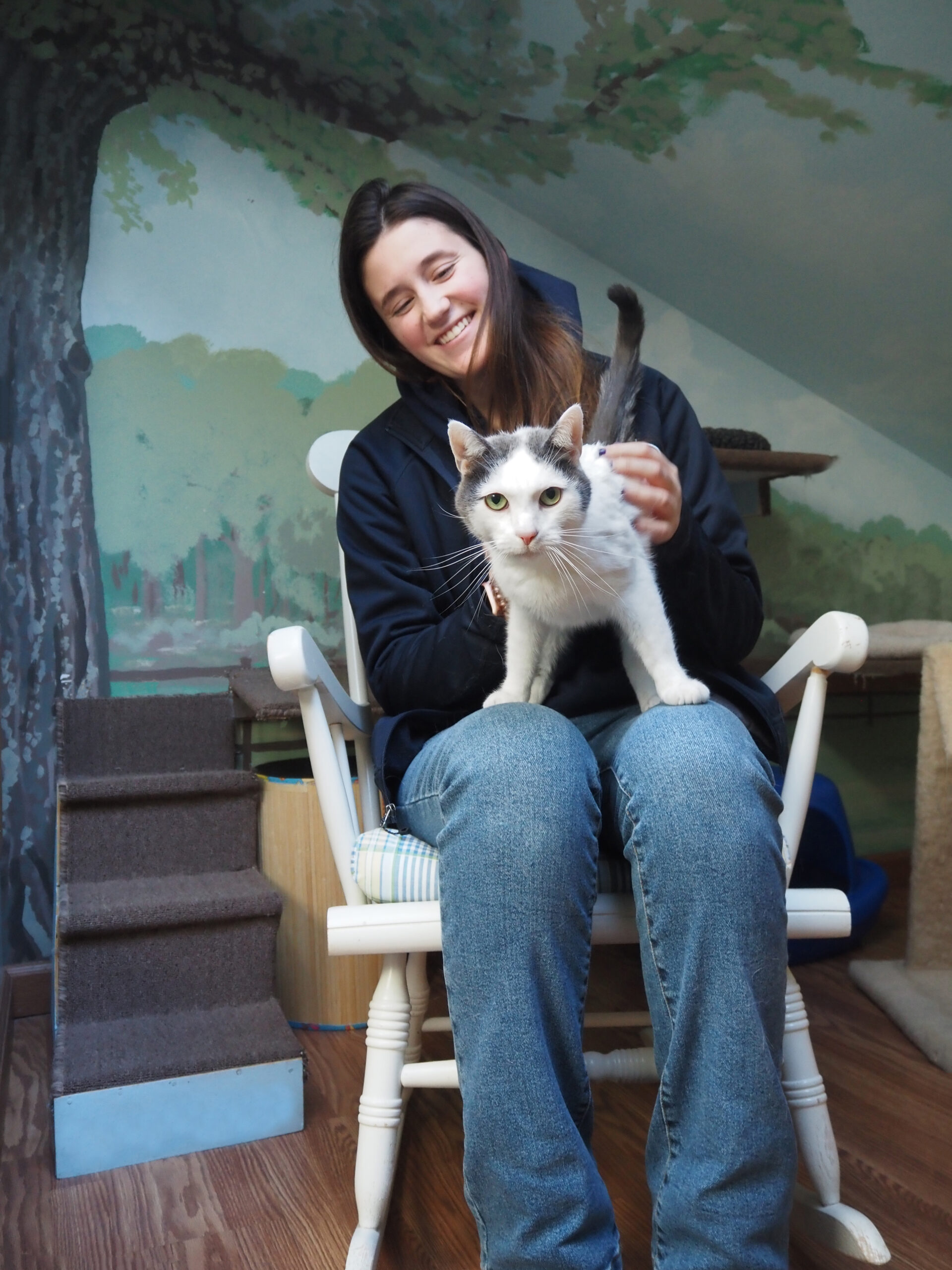 Cat with staff member