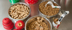 Dog bowls and kongs filled with treats at Morris Animal Inn for Dog Boarding near Fanwood, NJ