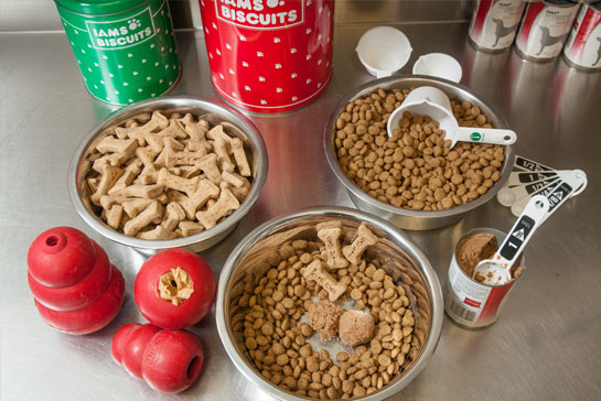 Dog bowls with food and treats at Morris Animal Inn for Dog Boarding near Long Hill, NJ