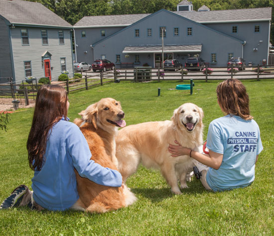Two staff members and two smiling golden retrievers at Morris Animal Inn for Dog Boarding near Long Hill, NJ
