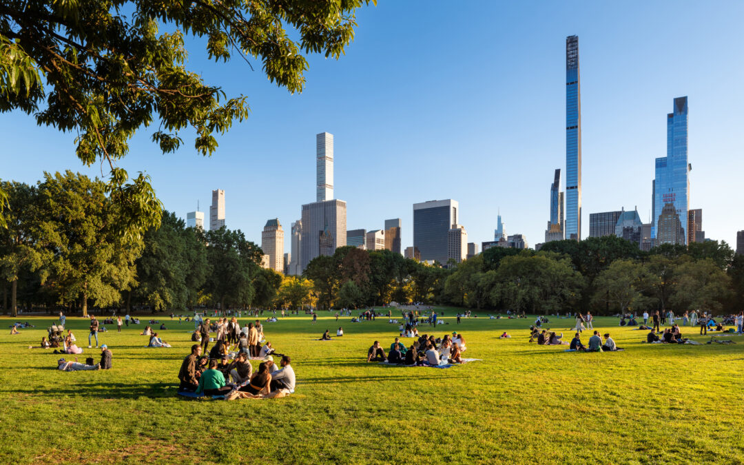 Summer Dog Boarding Near NYC: Where Do Pet Parents Send Their Dogs?