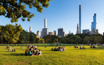 Summer Dog Boarding Near NYC: Where Do Pet Parents Send Their Dogs?