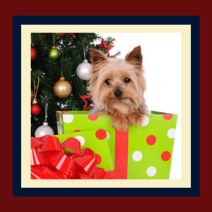 gifts for your pet